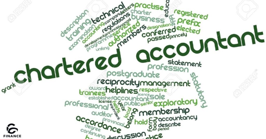 What is chartered professional accountant?