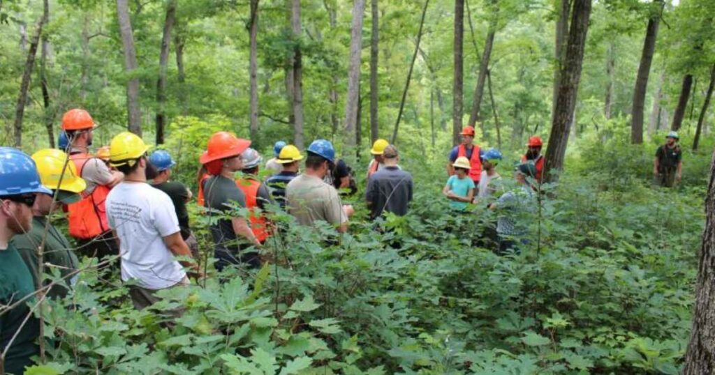 Nature Of White Oak Impact Fund