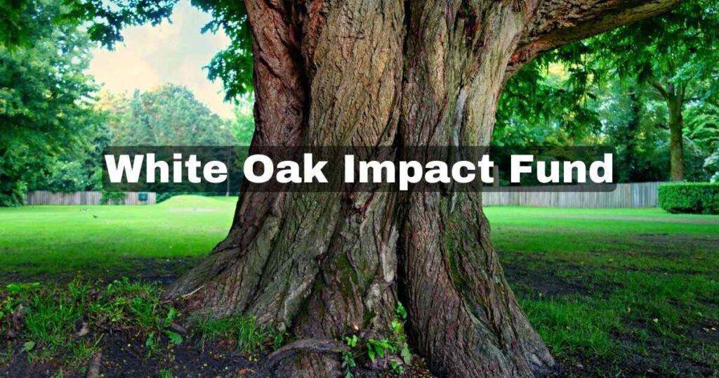 White Oak Impact Fund: Empowering Small Businesses for a Sustainable Future